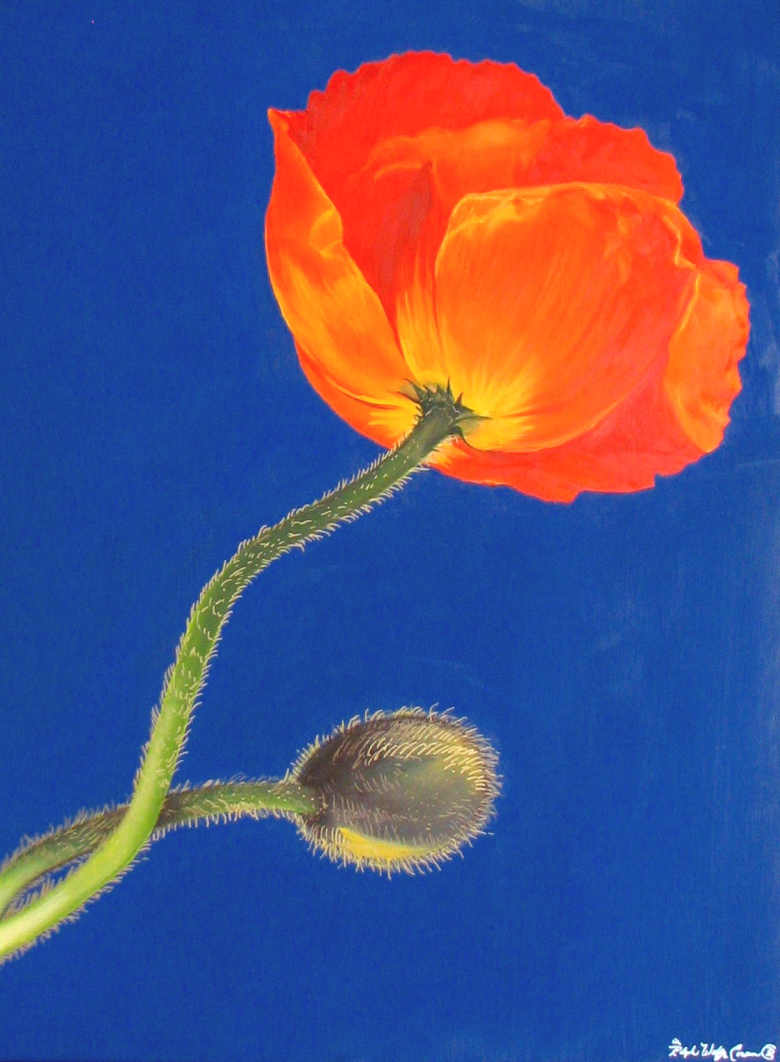 Passion (Poppy) 48x36 Oil